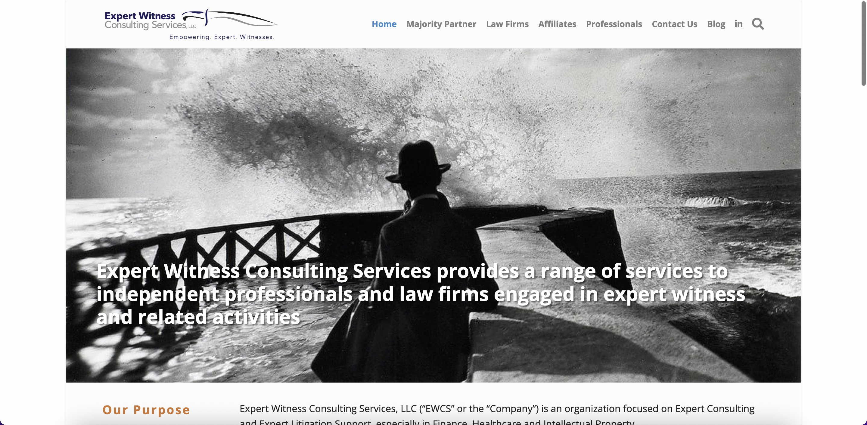 Expert Witness Consulting Services, LLC